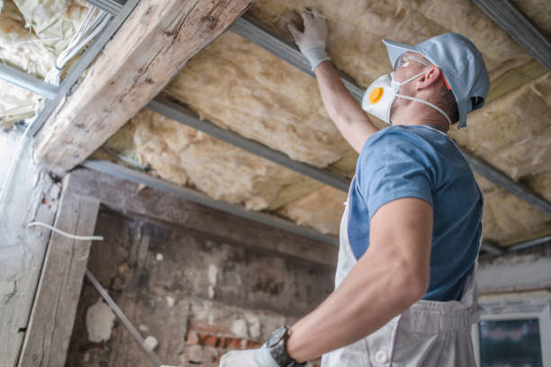 Best Residential Insulation in Country Homes, WA